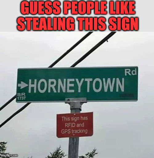 Needs to be hanging in your house. | GUESS PEOPLE LIKE STEALING THIS SIGN | image tagged in funny signs,horny,funny road signs | made w/ Imgflip meme maker
