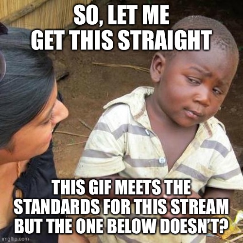 Third World Skeptical Kid Meme | SO, LET ME GET THIS STRAIGHT THIS GIF MEETS THE STANDARDS FOR THIS STREAM BUT THE ONE BELOW DOESN’T? | image tagged in memes,third world skeptical kid | made w/ Imgflip meme maker