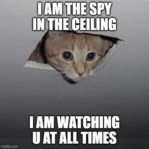 Ceiling Cat Meme | I AM THE SPY IN THE CEILING; I AM WATCHING U AT ALL TIMES | image tagged in memes,ceiling cat | made w/ Imgflip meme maker