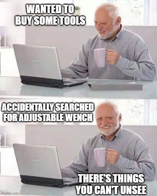 What have I just seen??? | WANTED TO BUY SOME TOOLS; ACCIDENTALLY SEARCHED FOR ADJUSTABLE WENCH; THERE'S THINGS YOU CAN'T UNSEE | image tagged in memes,hide the pain harold | made w/ Imgflip meme maker