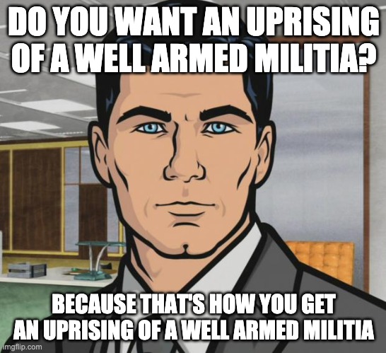 Archer Meme | DO YOU WANT AN UPRISING OF A WELL ARMED MILITIA? BECAUSE THAT'S HOW YOU GET AN UPRISING OF A WELL ARMED MILITIA | image tagged in memes,archer | made w/ Imgflip meme maker