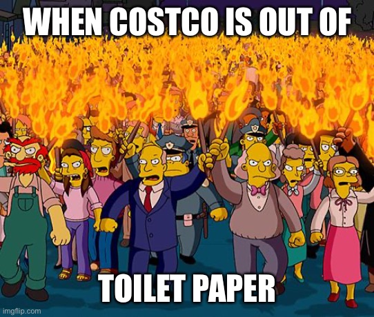 angry mob | WHEN COSTCO IS OUT OF; TOILET PAPER | image tagged in angry mob | made w/ Imgflip meme maker