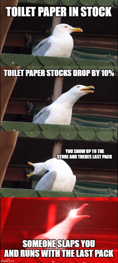 Inhaling Seagull | TOILET PAPER IN STOCK; TOILET PAPER STOCKS DROP BY 10%; YOU SHOW UP TO THE STORE AND THERES LAST PACK; SOMEONE SLAPS YOU AND RUNS WITH THE LAST PACK | image tagged in memes,inhaling seagull | made w/ Imgflip meme maker