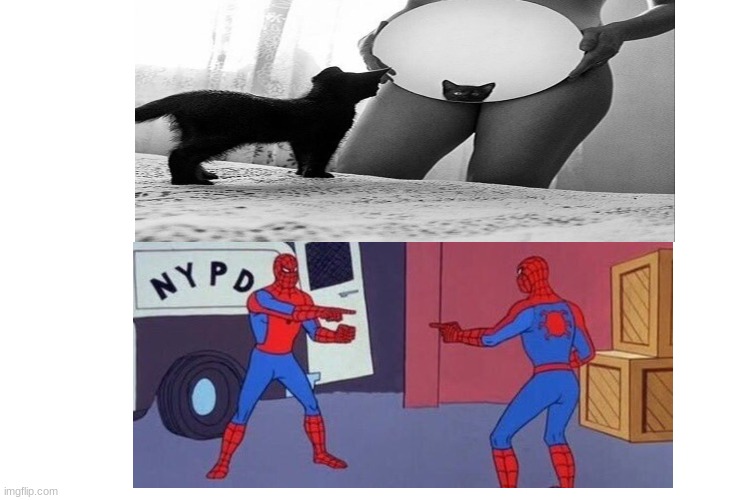 image tagged in you no you,humor,spiderman mirror | made w/ Imgflip meme maker