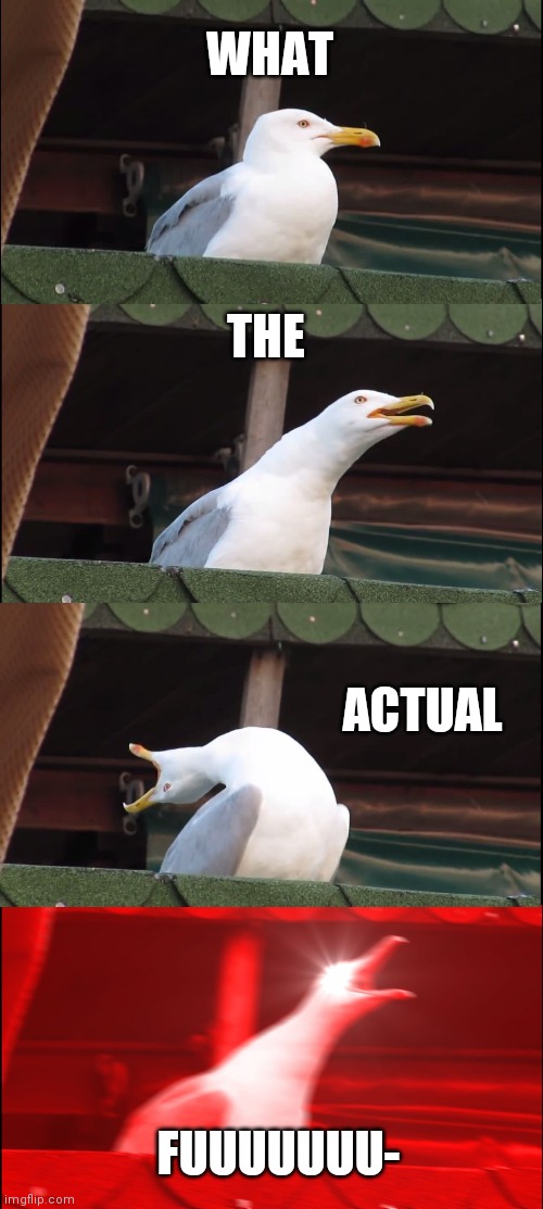 Inhaling Seagull | WHAT; THE; ACTUAL; FUUUUUUU- | image tagged in memes,inhaling seagull | made w/ Imgflip meme maker