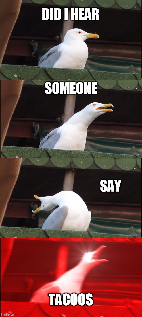 Inhaling Seagull | DID I HEAR; SOMEONE; SAY; TACOOS | image tagged in memes,inhaling seagull | made w/ Imgflip meme maker