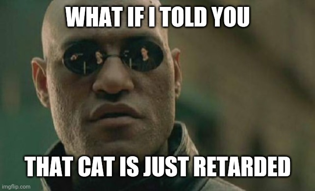 Matrix Morpheus Meme | WHAT IF I TOLD YOU THAT CAT IS JUST RETARDED | image tagged in memes,matrix morpheus | made w/ Imgflip meme maker