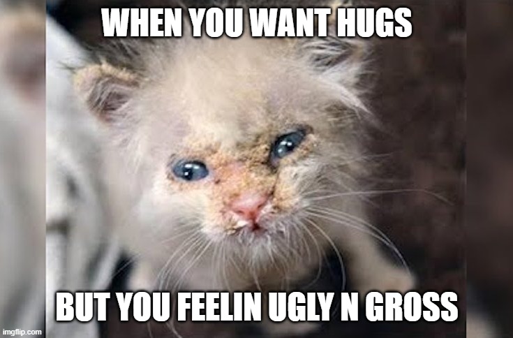 WHEN YOU WANT HUGS; BUT YOU FEELIN UGLY N GROSS | image tagged in hugs,ugly,sad cat,fml,lonely,why am i so damn ugly | made w/ Imgflip meme maker