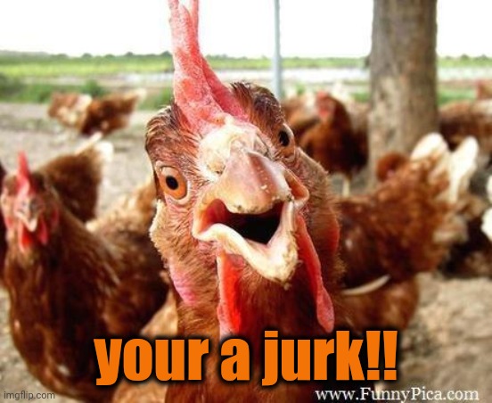 Chicken | your a jurk!! | image tagged in chicken | made w/ Imgflip meme maker