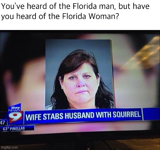 That’s violently Florida | image tagged in florida man | made w/ Imgflip meme maker