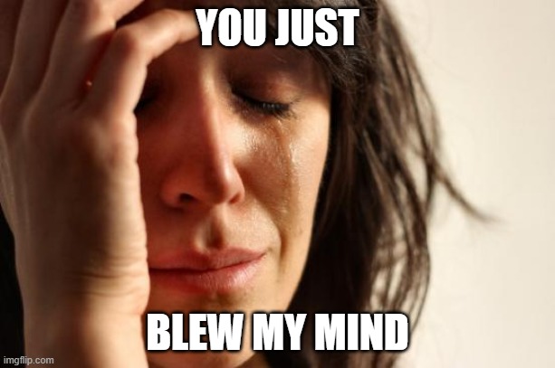 First World Problems Meme | YOU JUST; BLEW MY MIND | image tagged in memes,first world problems | made w/ Imgflip meme maker