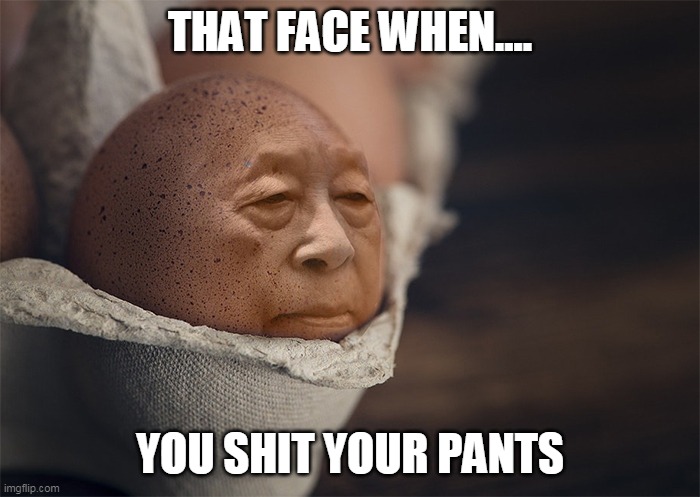THAT FACE WHEN.... YOU SHIT YOUR PANTS | image tagged in imgflip | made w/ Imgflip meme maker