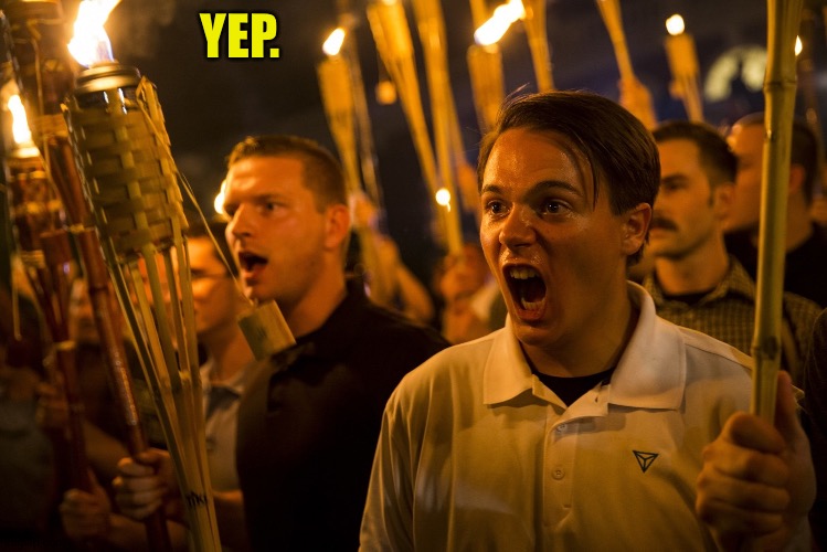 Tiki Torch Nazi | YEP. | image tagged in tiki torch nazi | made w/ Imgflip meme maker