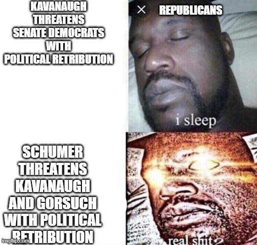 i sleep real shit | KAVANAUGH THREATENS SENATE DEMOCRATS WITH POLITICAL RETRIBUTION; REPUBLICANS; SCHUMER THREATENS KAVANAUGH AND GORSUCH WITH POLITICAL RETRIBUTION | image tagged in i sleep real shit | made w/ Imgflip meme maker