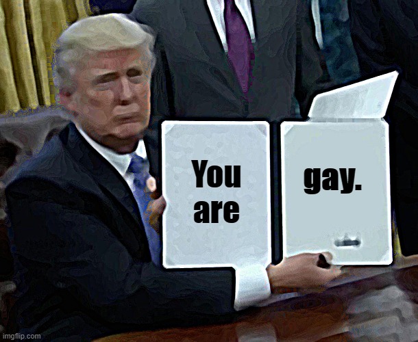 Trump Bill Signing | You are; gay. | image tagged in memes,trump bill signing | made w/ Imgflip meme maker