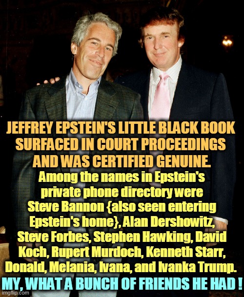 Jeffrey's friends. | JEFFREY EPSTEIN'S LITTLE BLACK BOOK 
SURFACED IN COURT PROCEEDINGS 
AND WAS CERTIFIED GENUINE. Among the names in Epstein's private phone directory were Steve Bannon {also seen entering Epstein's home}, Alan Dershowitz, Steve Forbes, Stephen Hawking, David Koch, Rupert Murdoch, Kenneth Starr, Donald, Melania, Ivana, and Ivanka Trump. MY, WHAT A BUNCH OF FRIENDS HE HAD ! | image tagged in epstein trump,jeffrey epstein,trump,steve bannon,republicans,hypocrites | made w/ Imgflip meme maker