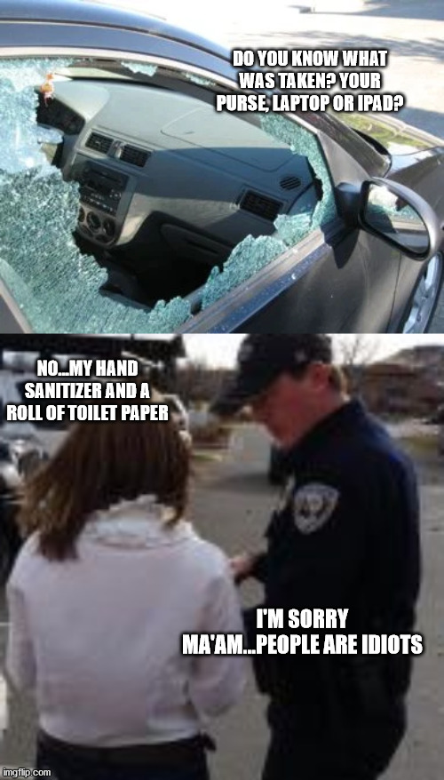 People Can Be Idiots | DO YOU KNOW WHAT WAS TAKEN? YOUR PURSE, LAPTOP OR IPAD? NO...MY HAND SANITIZER AND A ROLL OF TOILET PAPER; I'M SORRY MA'AM...PEOPLE ARE IDIOTS | image tagged in thieves | made w/ Imgflip meme maker