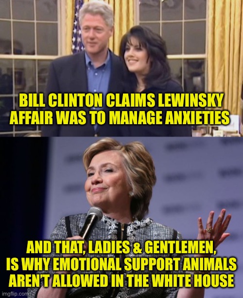 Let Sleeping Dogs Lie | BILL CLINTON CLAIMS LEWINSKY AFFAIR WAS TO MANAGE ANXIETIES; AND THAT, LADIES & GENTLEMEN, IS WHY EMOTIONAL SUPPORT ANIMALS AREN’T ALLOWED IN THE WHITE HOUSE | image tagged in monica lewinsky,bill clinton,hillary clinton,anxieties,affair | made w/ Imgflip meme maker