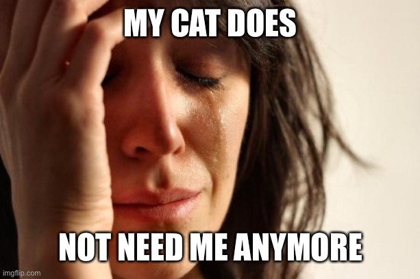 First World Problems Meme | MY CAT DOES NOT NEED ME ANYMORE | image tagged in memes,first world problems | made w/ Imgflip meme maker