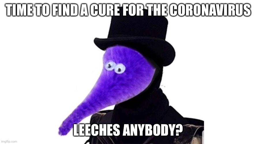 TIME TO FIND A CURE FOR THE CORONAVIRUS; LEECHES ANYBODY? | image tagged in coronavirus | made w/ Imgflip meme maker