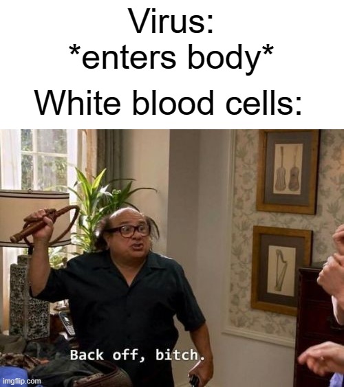 White blood cells | Virus: *enters body*; White blood cells: | image tagged in danny devito back off,virus,funny,memes,blood,cell | made w/ Imgflip meme maker