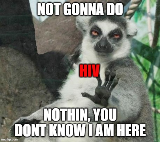 Stoner Lemur Meme | NOT GONNA DO NOTHIN, YOU DONT KNOW I AM HERE HIV | image tagged in memes,stoner lemur | made w/ Imgflip meme maker