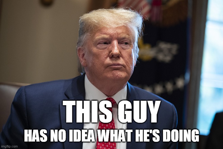 THIS GUY; HAS NO IDEA WHAT HE'S DOING | image tagged in trump | made w/ Imgflip meme maker