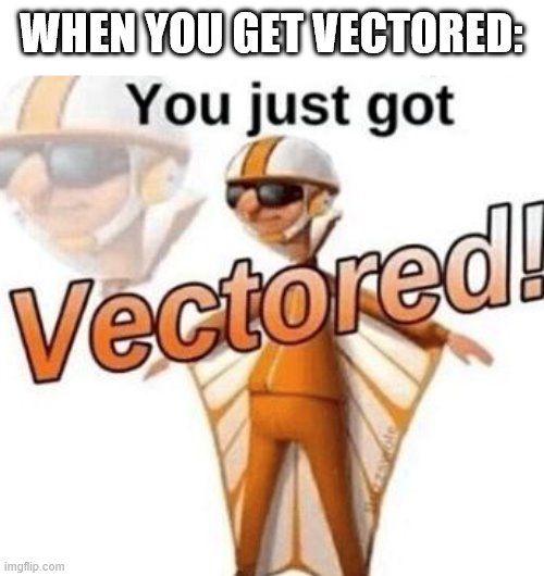 You just got vectored | WHEN YOU GET VECTORED: | image tagged in you just got vectored | made w/ Imgflip meme maker