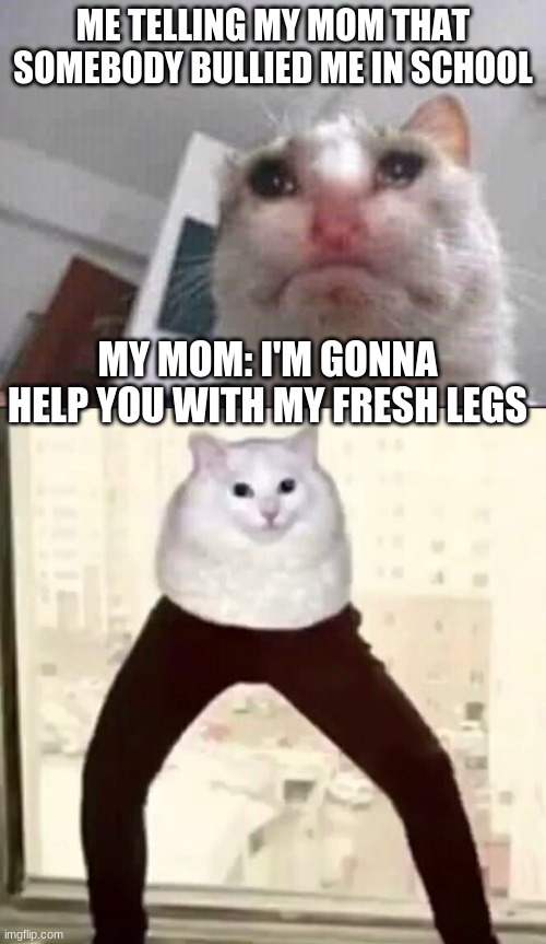cursed cat famaly | ME TELLING MY MOM THAT SOMEBODY BULLIED ME IN SCHOOL; MY MOM: I'M GONNA HELP YOU WITH MY FRESH LEGS | image tagged in funny meme,lol so funny,cat,family,cursed,funny | made w/ Imgflip meme maker