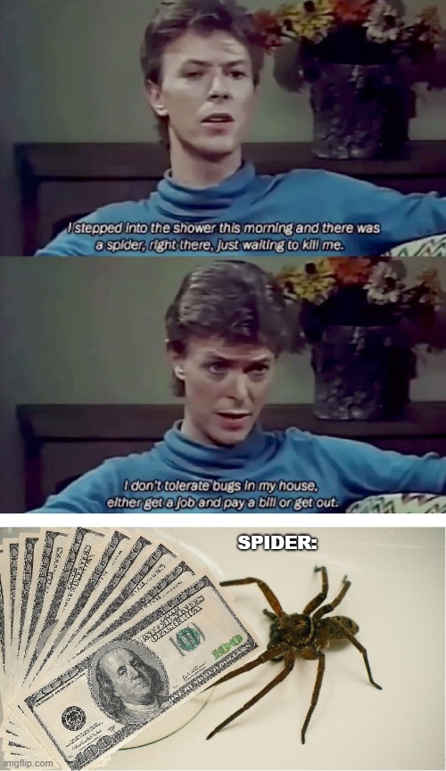8-Legged Roomie | SPIDER: | image tagged in david bowie,spider,rent,pay,bill,roomie | made w/ Imgflip meme maker