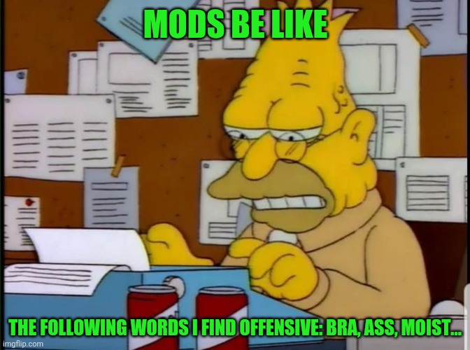 MODS BE LIKE; THE FOLLOWING WORDS I FIND OFFENSIVE: BRA, ASS, MOIST... | made w/ Imgflip meme maker