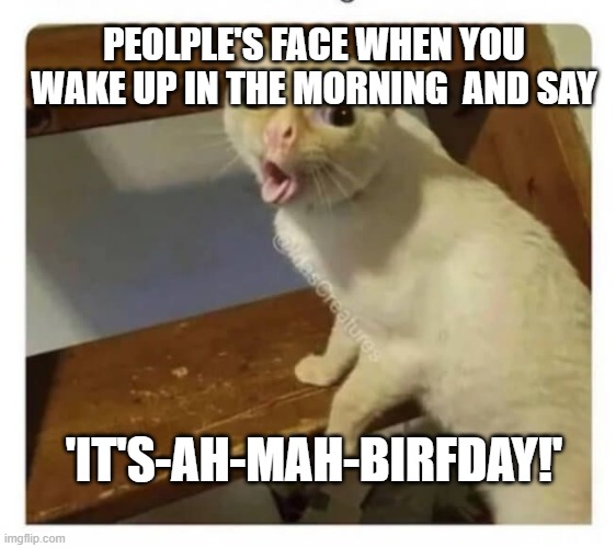 Coughing Cat | PEOLPLE'S FACE WHEN YOU WAKE UP IN THE MORNING  AND SAY; 'IT'S-AH-MAH-BIRFDAY!' | image tagged in coughing cat | made w/ Imgflip meme maker