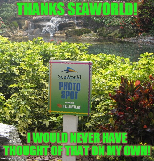 I'm not bitter today. I'm way passed bitter | THANKS SEAWORLD! I WOULD NEVER HAVE THOUGHT OF THAT ON MY OWN! | image tagged in joys of getting old | made w/ Imgflip meme maker