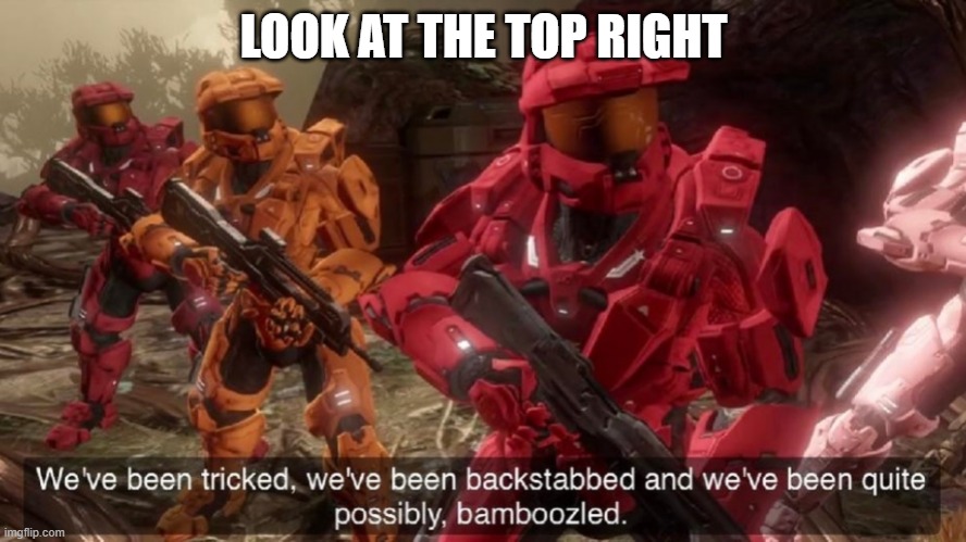 We have ben bamboozled halo | LOOK AT THE TOP RIGHT | image tagged in we have ben bamboozled halo | made w/ Imgflip meme maker