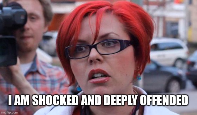 Angry Feminist | I AM SHOCKED AND DEEPLY OFFENDED | image tagged in angry feminist | made w/ Imgflip meme maker