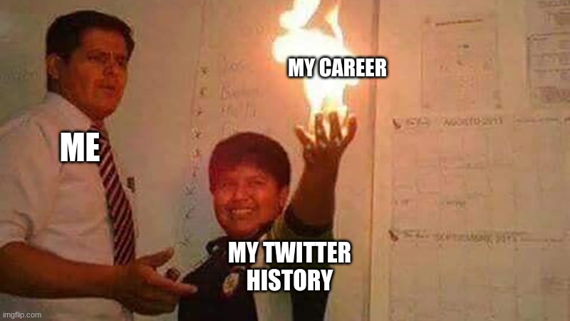 MY CAREER; ME; MY TWITTER HISTORY | image tagged in twitter history,me,my career | made w/ Imgflip meme maker