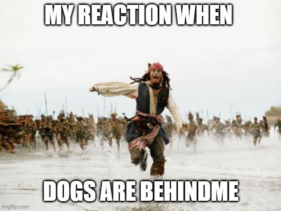 Jack Sparrow Being Chased Meme | MY REACTION WHEN; DOGS ARE BEHINDME | image tagged in memes,jack sparrow being chased | made w/ Imgflip meme maker