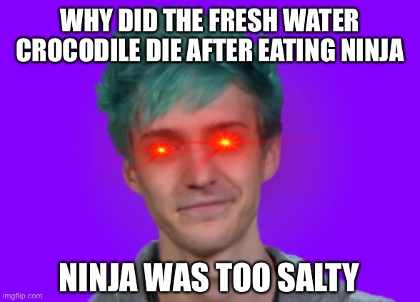 Ninja | WHY DID THE FRESH WATER CROCODILE DIE AFTER EATING NINJA; NINJA WAS TOO SALTY | image tagged in ninja | made w/ Imgflip meme maker