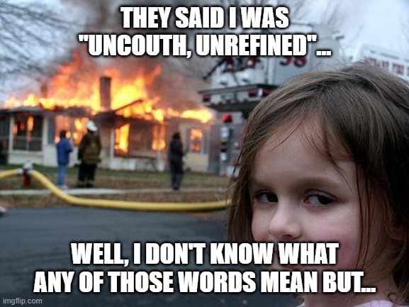 Disaster Girl | THEY SAID I WAS "UNCOUTH, UNREFINED"... WELL, I DON'T KNOW WHAT ANY OF THOSE WORDS MEAN BUT... | image tagged in memes,disaster girl | made w/ Imgflip meme maker