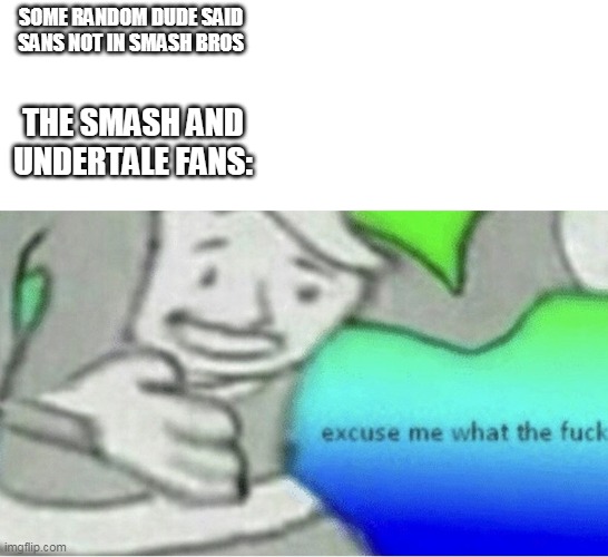 Excuse me wtf blank template | SOME RANDOM DUDE SAID SANS NOT IN SMASH BROS; THE SMASH AND UNDERTALE FANS: | image tagged in excuse me wtf blank template | made w/ Imgflip meme maker