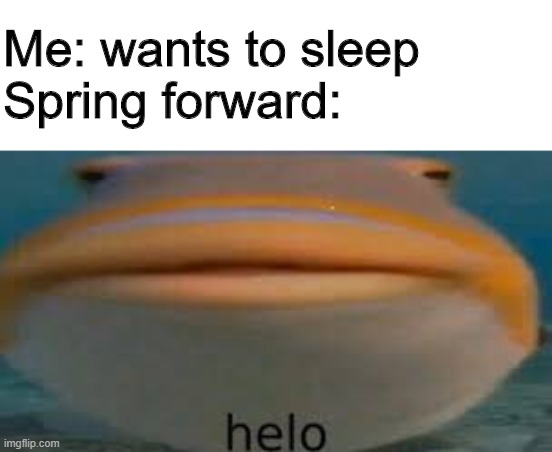 Fish Helo | Me: wants to sleep
Spring forward: | image tagged in fish helo | made w/ Imgflip meme maker
