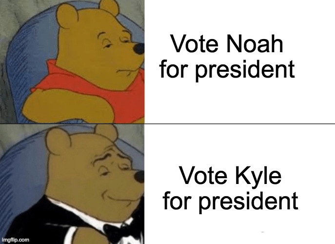 Tuxedo Winnie The Pooh | Vote Noah for president; Vote Kyle for president | image tagged in memes,tuxedo winnie the pooh | made w/ Imgflip meme maker