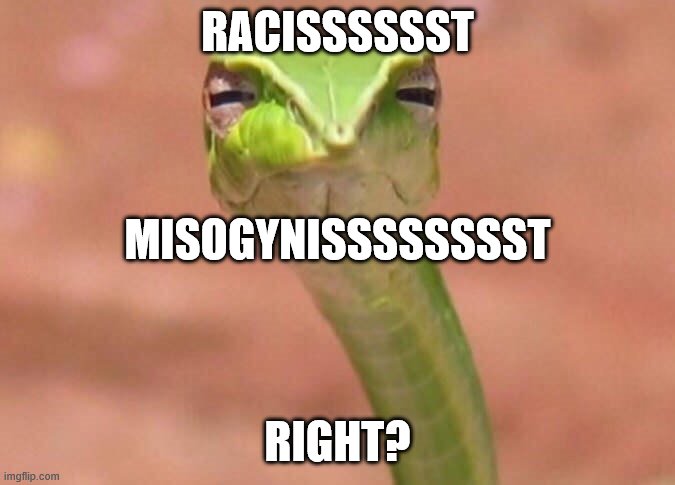 Skeptical snake | RACISSSSSST RIGHT? MISOGYNISSSSSSSST | image tagged in skeptical snake | made w/ Imgflip meme maker