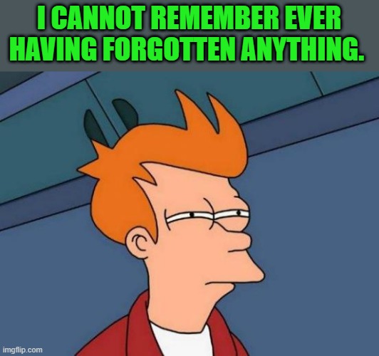 Futurama Fry | I CANNOT REMEMBER EVER HAVING FORGOTTEN ANYTHING. | image tagged in memes,futurama fry | made w/ Imgflip meme maker