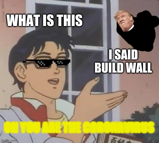 Is This A Pigeon Meme | WHAT IS THIS; I SAID BUILD WALL; OH YOU ARE THE CORONAVIRUS | image tagged in memes,is this a pigeon | made w/ Imgflip meme maker