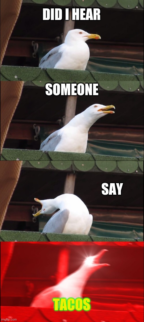 Inhaling Seagull | DID I HEAR; SOMEONE; SAY; TACOS | image tagged in memes,inhaling seagull | made w/ Imgflip meme maker