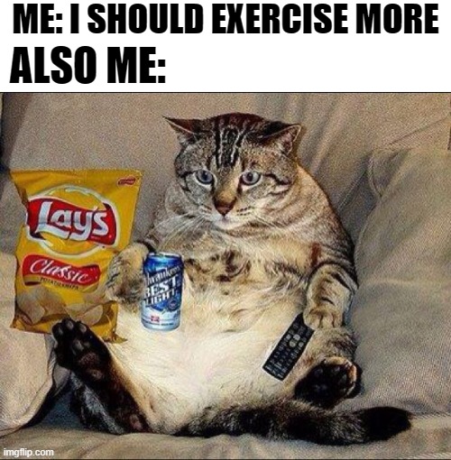 Have you ever seen a cat exercise? | ME: I SHOULD EXERCISE MORE; ALSO ME: | image tagged in memes,funny memes,exercise,fat cats exercise,couch potato,ain't nobody got time for that | made w/ Imgflip meme maker