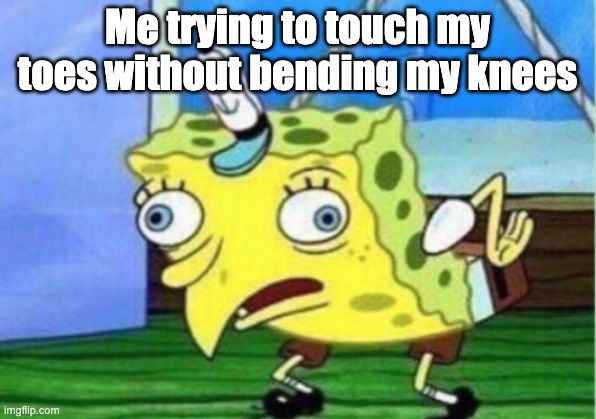 Mocking Spongebob Meme | Me trying to touch my toes without bending my knees | image tagged in memes,mocking spongebob | made w/ Imgflip meme maker