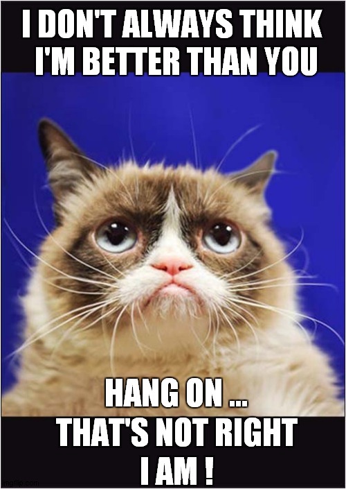 Grumpy Is Better Than You | I DON'T ALWAYS THINK; I'M BETTER THAN YOU; HANG ON …; THAT'S NOT RIGHT; I AM ! | image tagged in fun,grumpy cat,superiority complex | made w/ Imgflip meme maker
