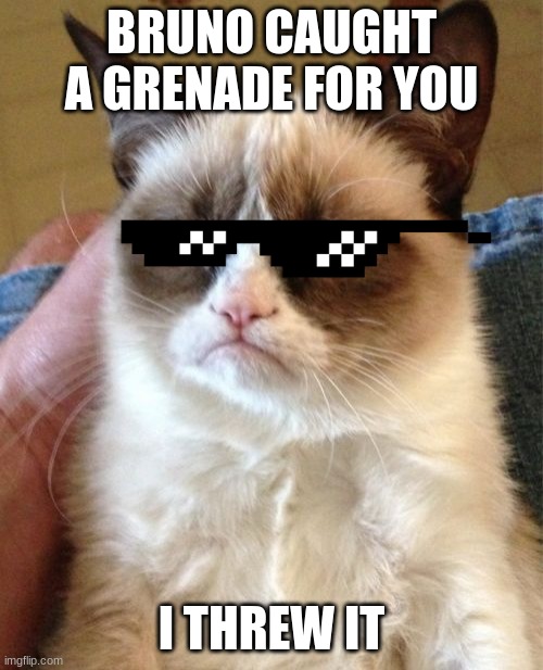 Grumpy Cat Meme | BRUNO CAUGHT A GRENADE FOR YOU; I THREW IT | image tagged in memes,grumpy cat | made w/ Imgflip meme maker